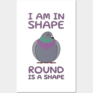 I Am In Shape Pigeon Posters and Art